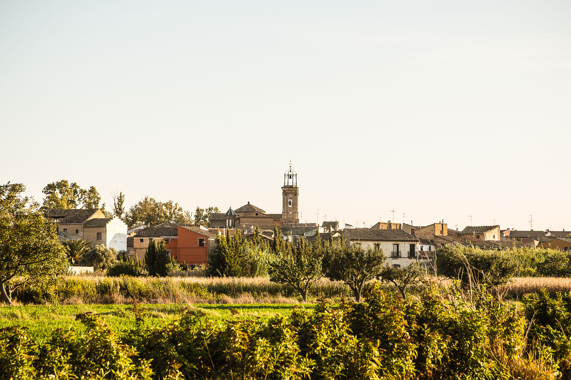 Vistas_Torre_Iglesia_Pedrola-reducida