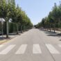 El Ayuntamiento de Pedrola firma el contrato para la renovación de la Calle Acceso Piscinas y el acondicionamiento del parque