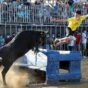 Pedrola contará con nueva plaza de toros portátil para las Fiestas de San Roque 2023