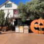 El servicio de juventud de Pedrola pone en marcha la inscripciones del viaje a Port Aventura Halloween