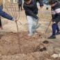 Vuelve la plantación de árboles a la programación de actividades juveniles de marzo