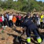 La Concejalía de Agricultura continúa un año más con la actividad medioambiental de la plantación de árboles