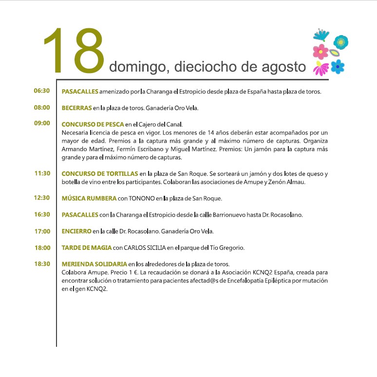 10_Programa_Web_San_Roque_24