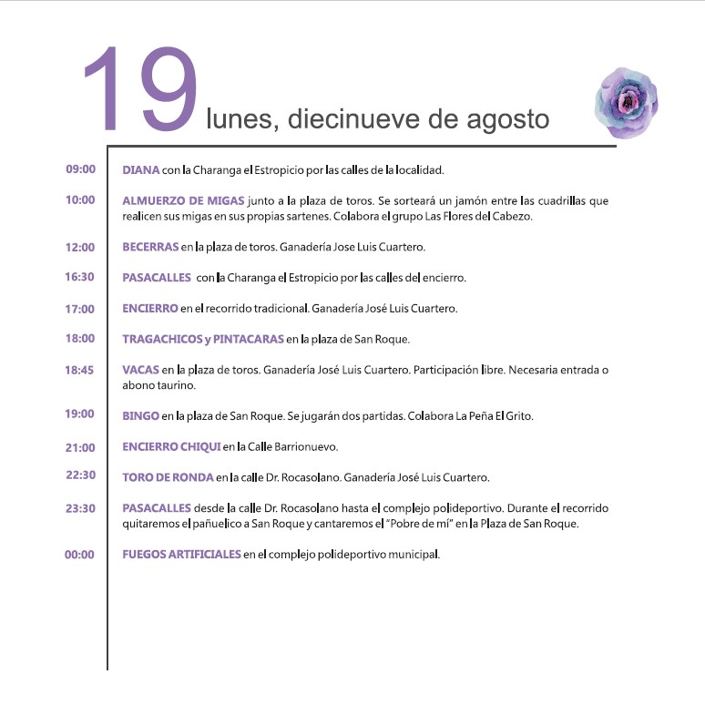 12_Programa_Web_San_Roque_24