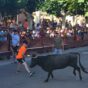 Conoce todos los horarios de los festejos taurinos de las Fiestas de la Juventud de Pedrola