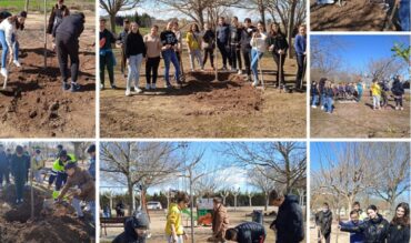 Plantación de árboles, torneo de laser y mucho más en la programación de actividades juveniles de marzo